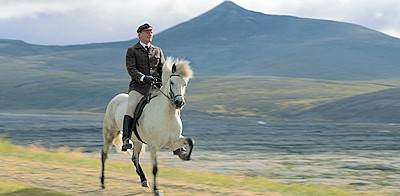 horses_02